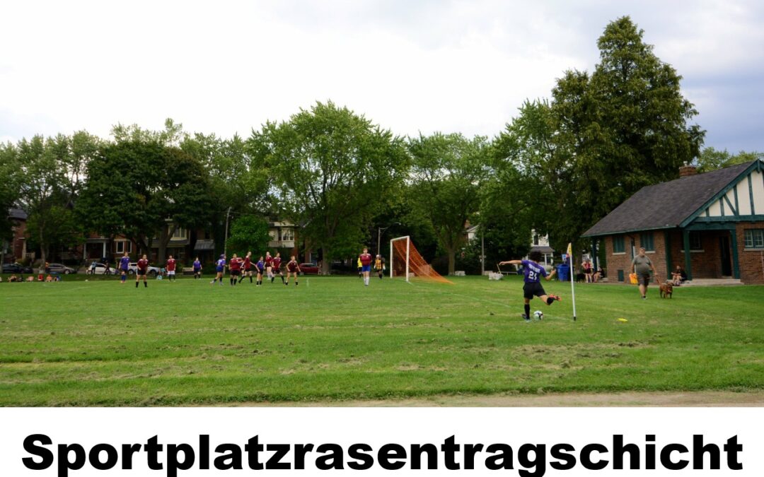 Sportplatzrasentragschicht-100114