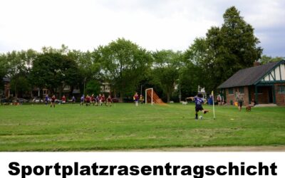 Sportplatzrasentragschicht-100114