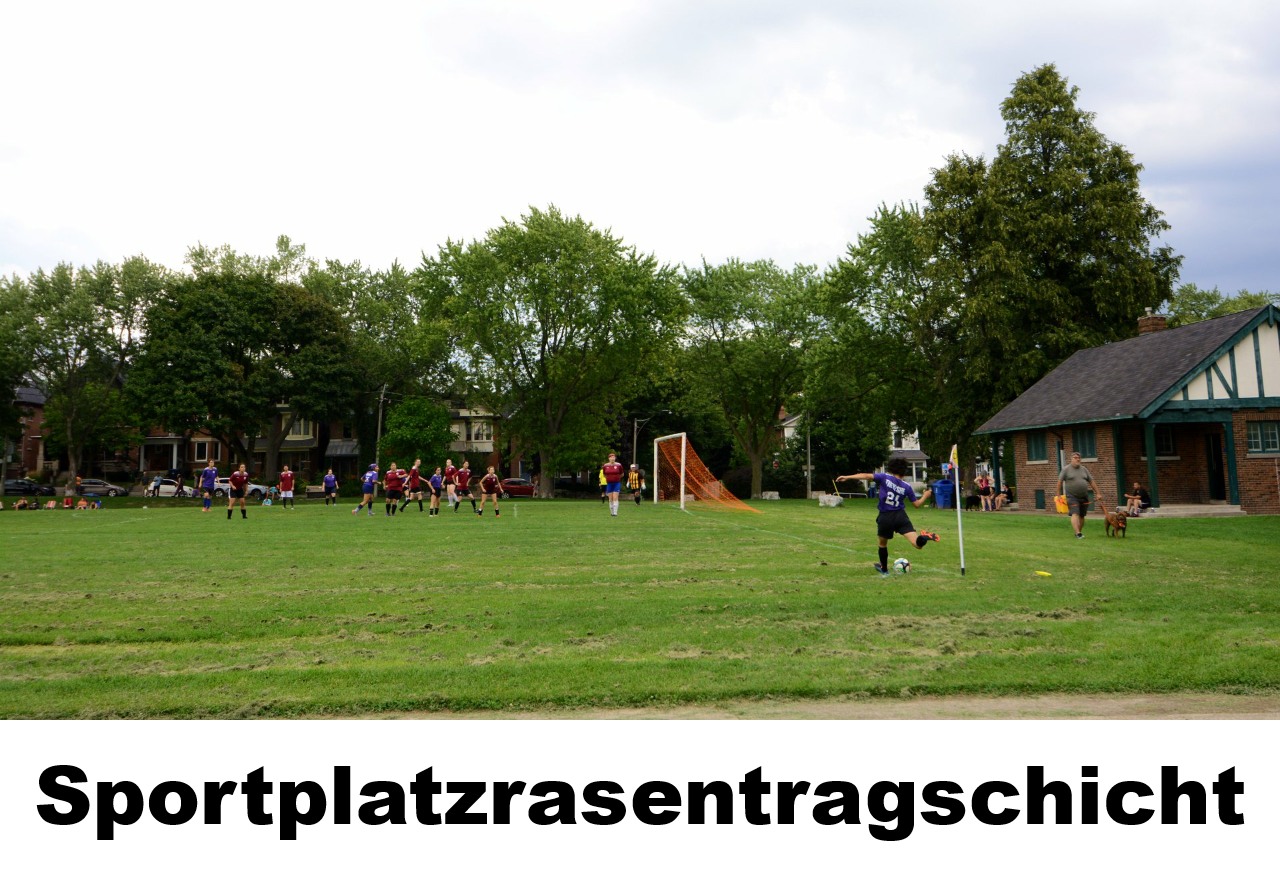 P Sportplatzrasentragschicht Sportplatzrasentragschicht