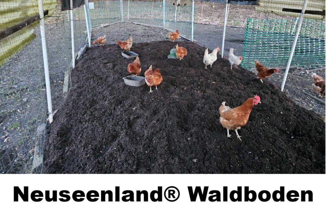 Waldboden