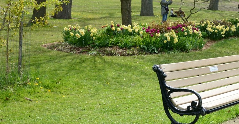 Rasen mit Blumenbeet Rasen mit Blumenbeet
