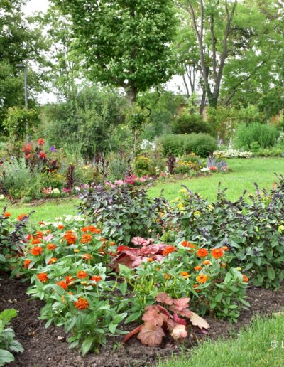 Landesgartenschau Bad Dürrenberg