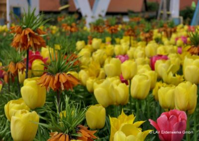 Wechselflorsubstrat Bad Dürrenberg torffrei