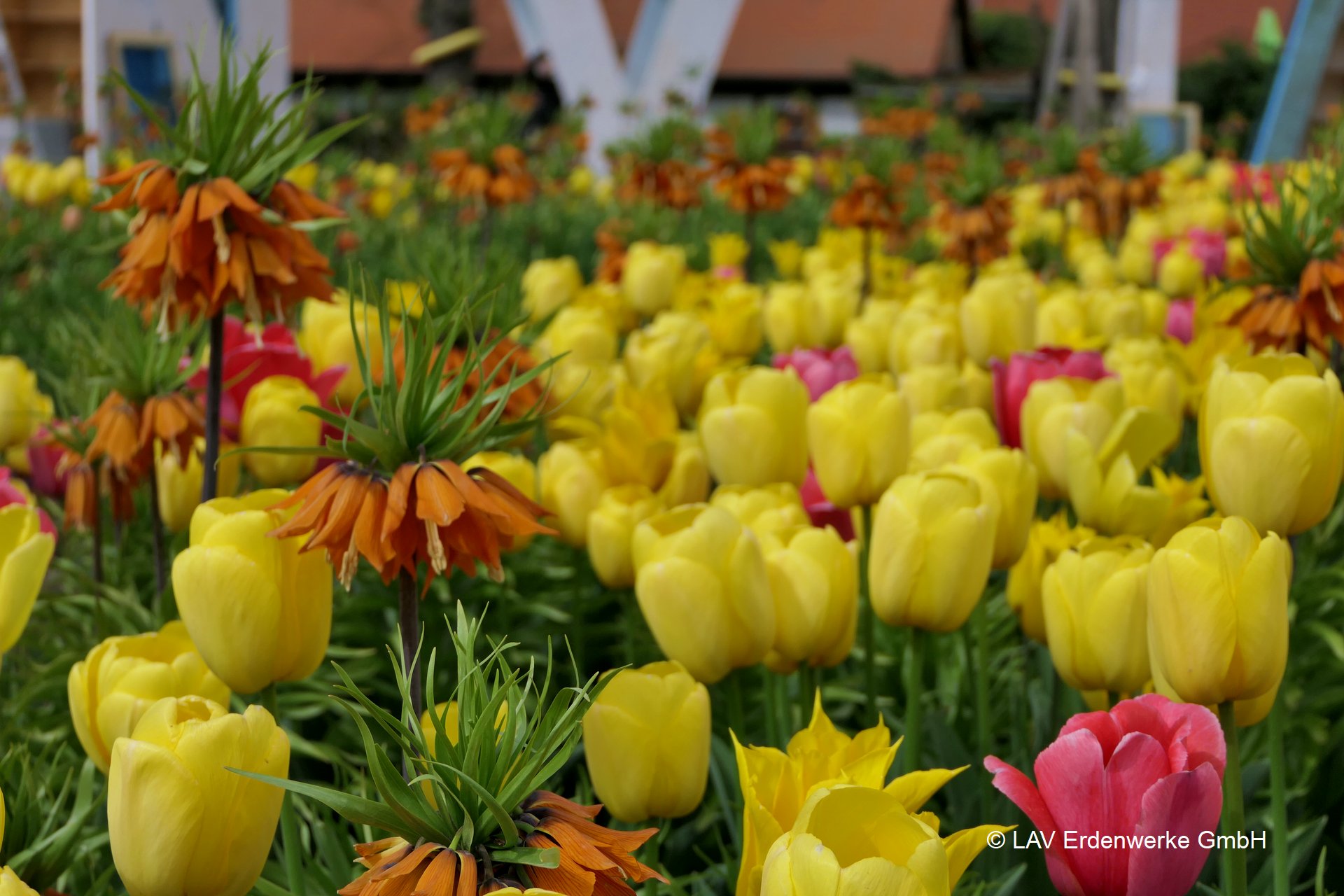 Wechselflorsubstrat Bad Dürrenberg torffrei Wechselflorsubstrat Bad Dürrenberg torffrei