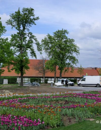 Landesgartenschau Salzkristall & Blütenzauber