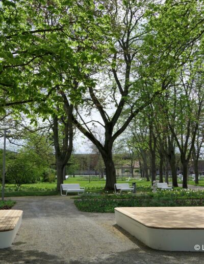 Landesgartenschau Salzkristall & Blütenzauber