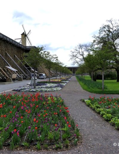 Kurpark Bad Dürrenberg