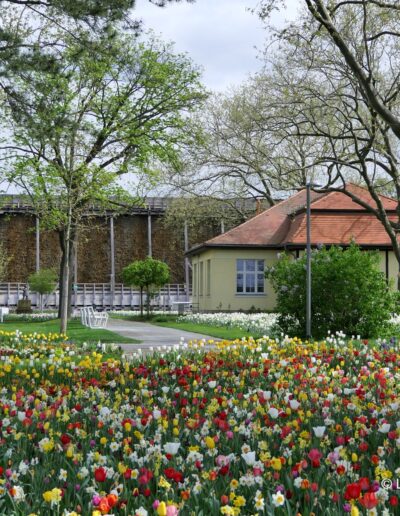 Kurpark Bad Dürrenberg