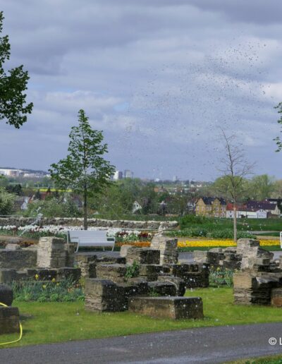 Parkbepflanzung Bad Dürrenberg