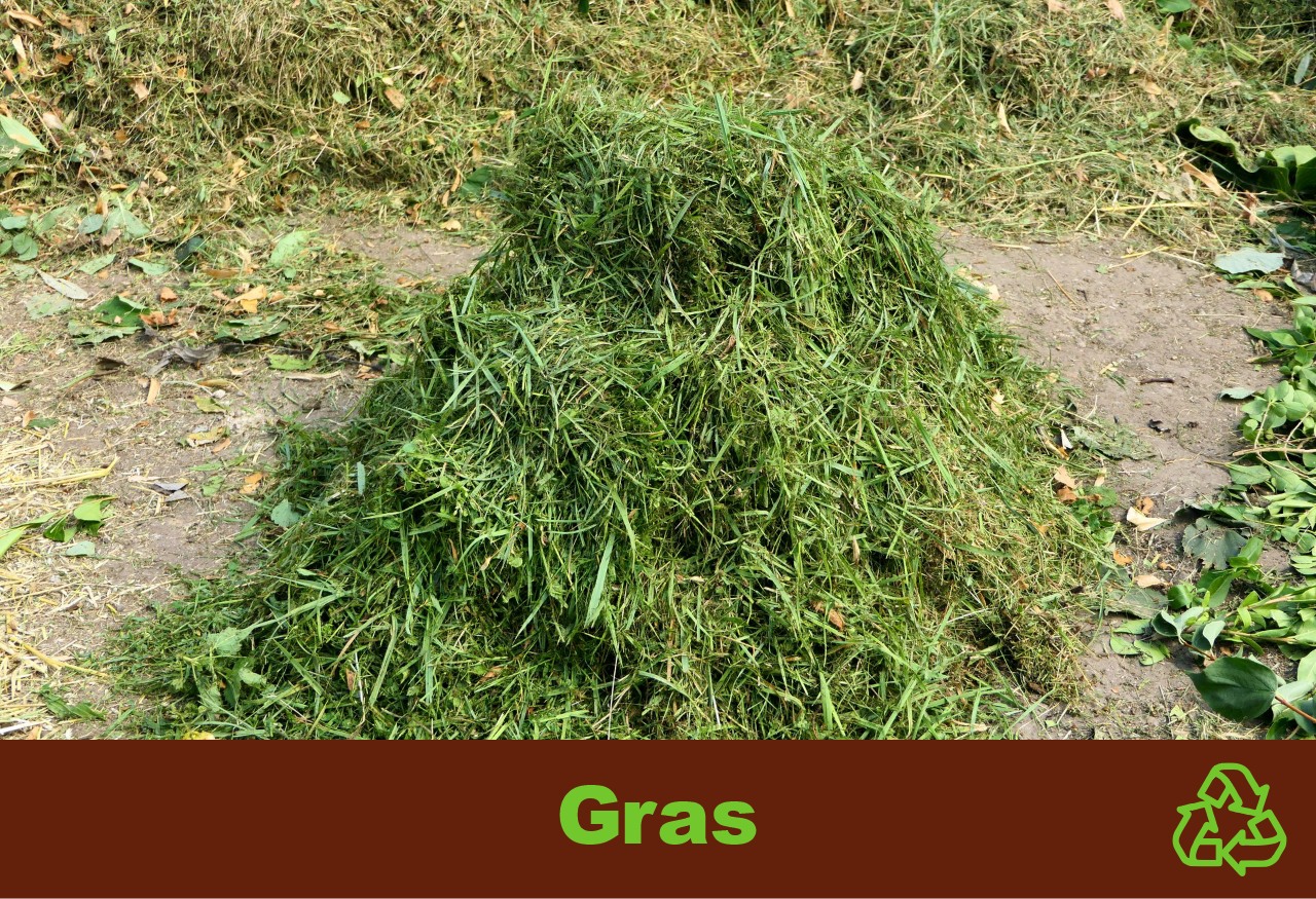 Abfall, Gras Abfall, Gras