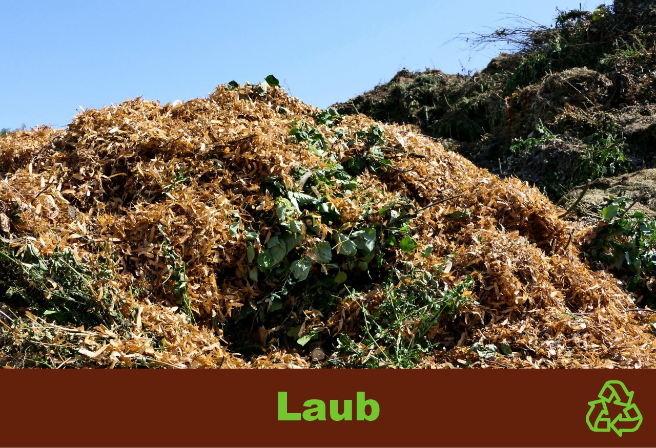 Abfall, Laub Abfall, Laub