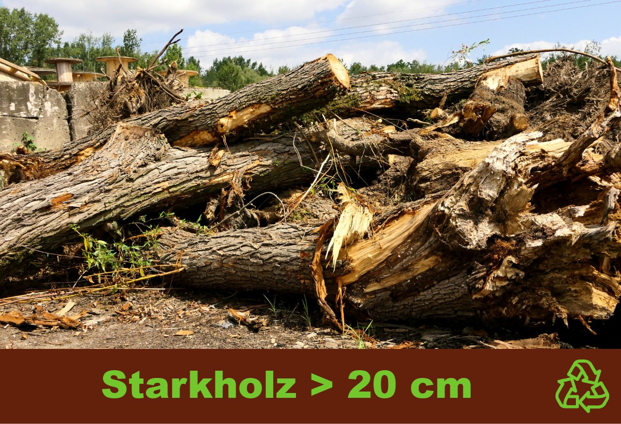 Annahme Starkholz Annahme Starkholz