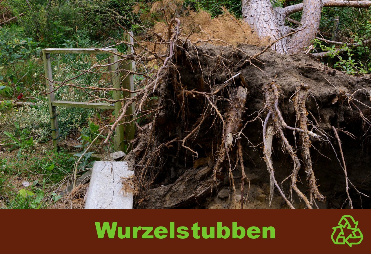 Abfall, Wurzelstubben Abfall, Wurzelstubben