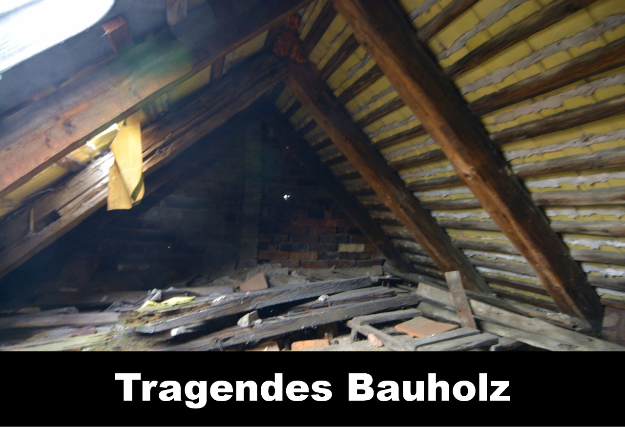 Keine Annahme: Tragendes Bauholz Keine Annahme: Tragendes Bauholz