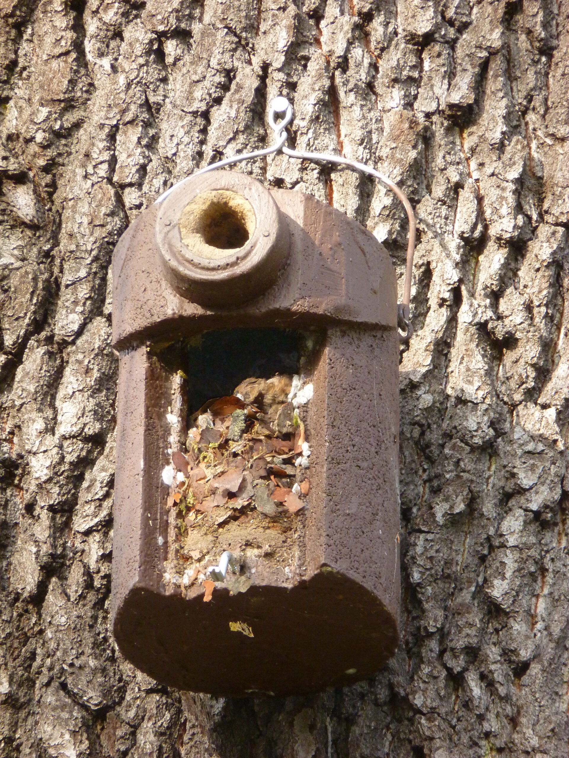 Nistkasten Kleiber Nistkastenreinigung Holzbeton-Nistkasten Nistkasten Kleiber Nistkastenreinigung Holzbeton-Nistkasten