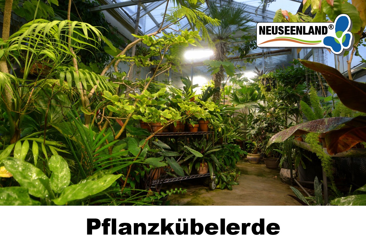 Neuseenland Pflanzkübelerde Neuseenland Pflanzkübelerde